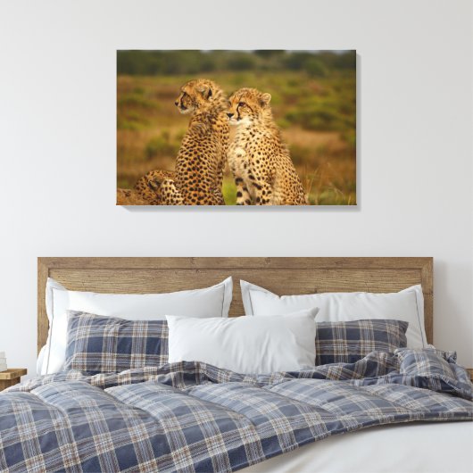 Cheetahs Canvas Afdruk (Insitu (Slaapkamer))