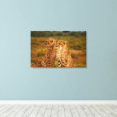 Cheetahs Canvas Afdruk (Insitu (Houten vloer))