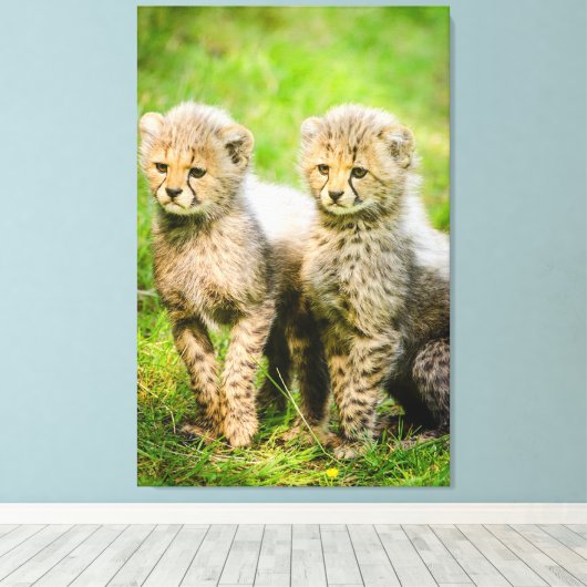 Cheetahs Canvas Afdruk (Insitu (Houten vloer))