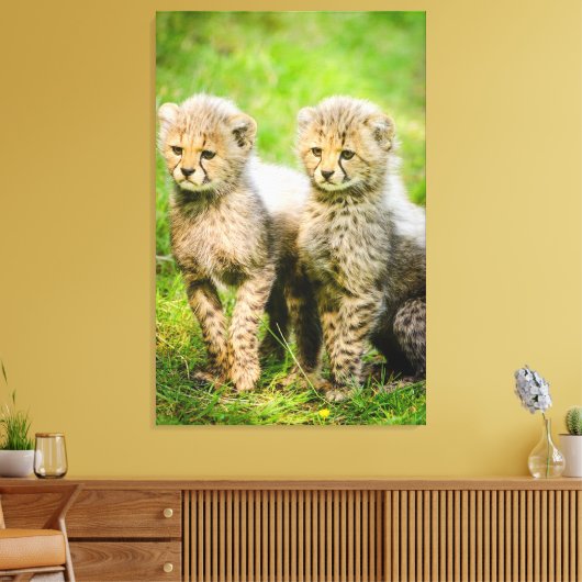 Cheetahs Canvas Afdruk (Insitu (Woonkamer))