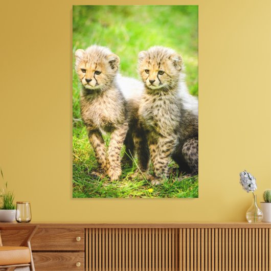 Cheetahs Canvas Afdruk (Insitu (Woonkamer))