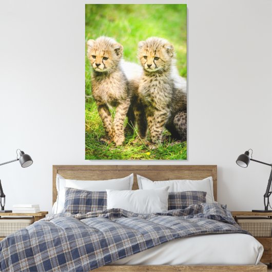 Cheetahs Canvas Afdruk (Insitu (Slaapkamer))