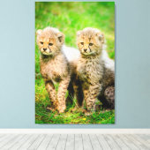 Cheetahs Canvas Afdruk (Insitu (Houten vloer))