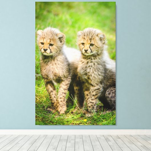 Cheetahs Canvas Afdruk (Insitu (Houten vloer))