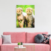 Cheetahs Canvas Afdruk (Insitu (Woonkamer))