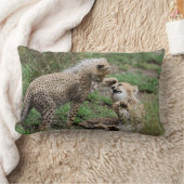 Cheetahs die Pillow spelen Kussen (Deken)