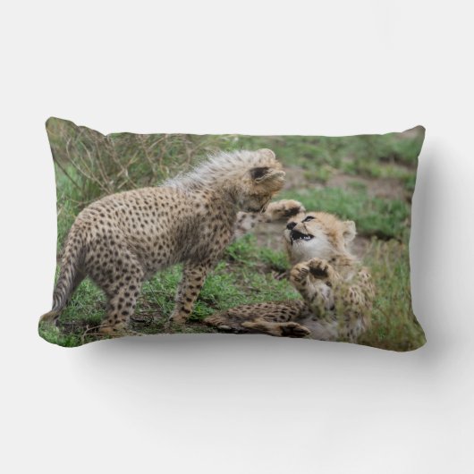 Cheetahs die Pillow spelen Kussen (Voorkant)