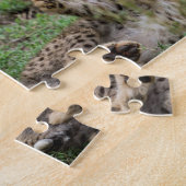 Cheetahs die Puzzle spelen Legpuzzel (Zijkant)