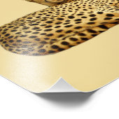 Cheetahs Foto Afdruk (Hoek)