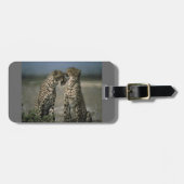 Cheetahs in Love Bagagelabel (Voorkant horizontaal)