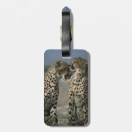 Cheetahs in Love Bagagelabel