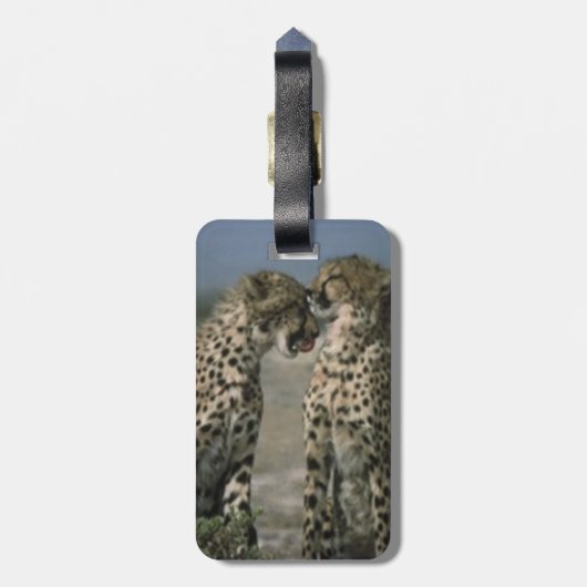Cheetahs in Love Bagagelabel (Achterkant verticaal)