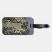 Cheetahs in Love Bagagelabel (Achterkant horizontaal)