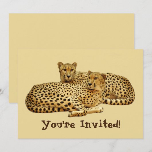 Cheetahs Kaart (Voorkant / Achterkant)