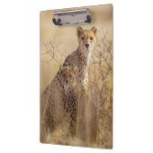 Cheetahs Klembord (Links)