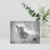 Cheetah's kub briefkaart (Staand voorkant)