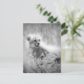 Cheetah's kub briefkaart (Staand voorkant)