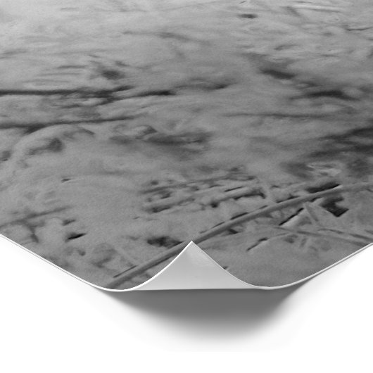 Cheetah's kub poster (Hoek)