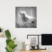 Cheetah's kub poster (Thuiskantoor)