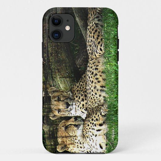 Cheetahs Lounging Grunge Case-Mate iPhone Case (Achterkant)