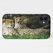 Cheetahs Lounging Grunge Case-Mate iPhone Case (Achterkant (horizontaal))