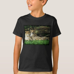 Cheetahs Lounging Grunge T-shirt