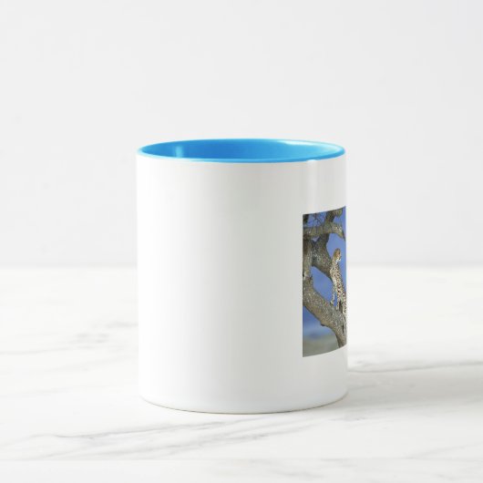 Cheetahs Mok (Midden)