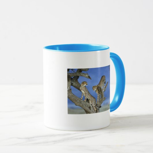 Cheetahs Mok (Voorkant rechts)