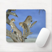 Cheetahs Muismat (Met muis)