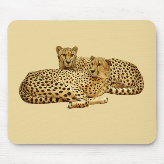 Cheetahs Muismat (Voorkant)