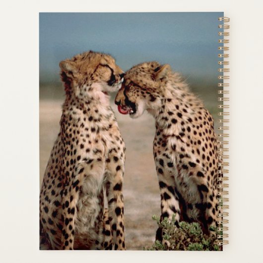 Cheetahs Planner (Achterkant)