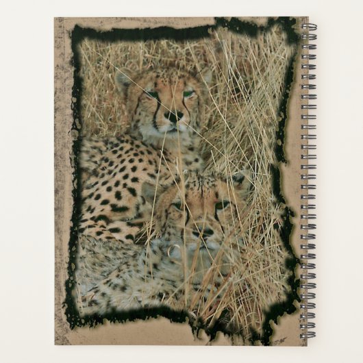Cheetahs Planner (Achterkant)