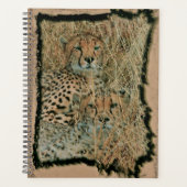Cheetahs Planner (Voorkant)
