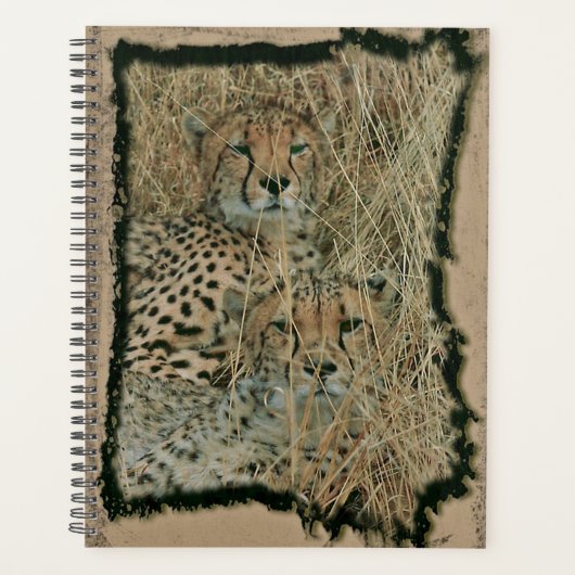 Cheetahs Planner (Voorkant)