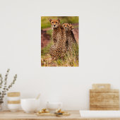 Cheetah's Poster (Keuken)