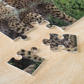 Cheetahs Puzzle Legpuzzel (Zijkant)