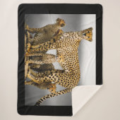 Cheetahs Sherpa Deken (Voorkant)