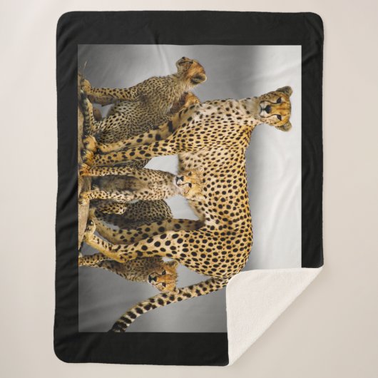 Cheetahs Sherpa Deken (Voorkant)