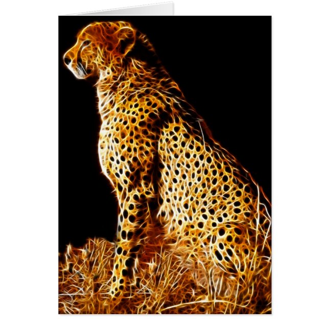 Cheetahs-standpunt (Voorkant)