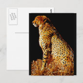 Cheetahs-standpunt Briefkaart (Voorkant / Achterkant)