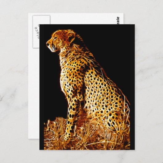 Cheetahs-standpunt Briefkaart (Voorkant / Achterkant)