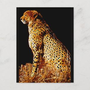 Cheetahs-standpunt Briefkaart