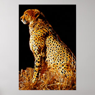 Cheetahs-standpunt Poster
