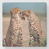 Cheetahs Stenen Onderzetter (Voorkant)