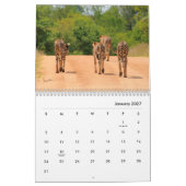 Cheetahs Wall Agenda Kalender (Jan 2027)