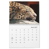 Cheetahs Wall Agenda Kalender (Mar 2027)