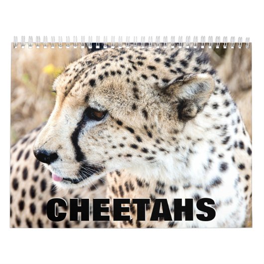 Cheetahs Wall Agenda Kalender (Hoes)