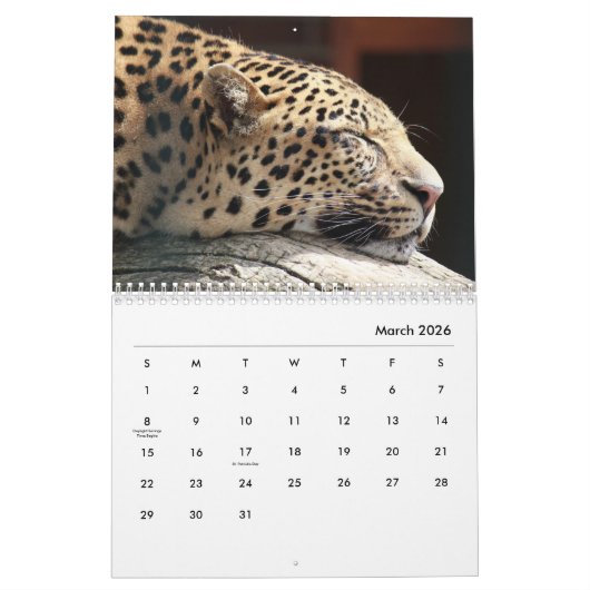 Cheetahs Wall Agenda Kalender (Mar 2026)