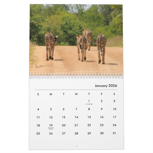 Cheetahs Wall Agenda Kalender (Jan 2026)