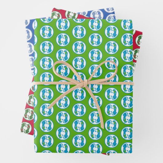 Cheetahs Wrapping Paper Flat Sheet Set of 3 (In situ)